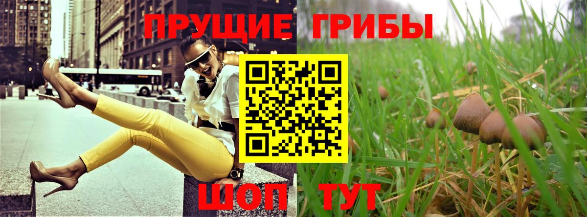 купить   Галлюциногенные грибы Cubensis  Галлюциногенные грибы Cubensis  Вход с VPN  Артёмовский 