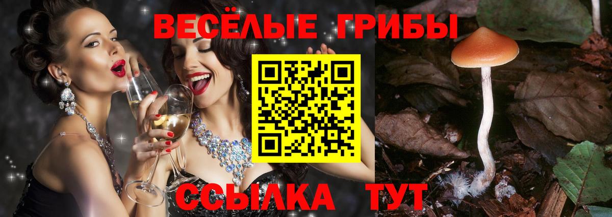 Псилоцибиновые грибы мухоморы Артёмовский